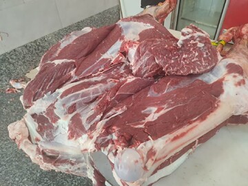 نذر قربانی در قم برای سلامتی رهبر معظم انقلاب