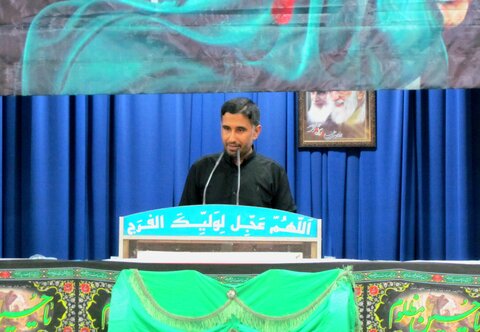 تصاویر/ همایش شیرخوارگان حسینی در دیر