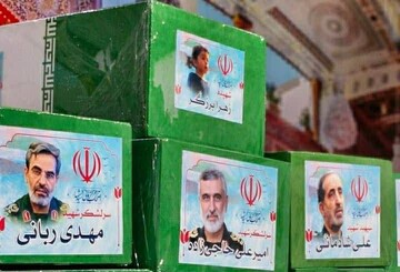 شعر زیبای طلبه البرزی در رثای علمداران حرم دین و وطن