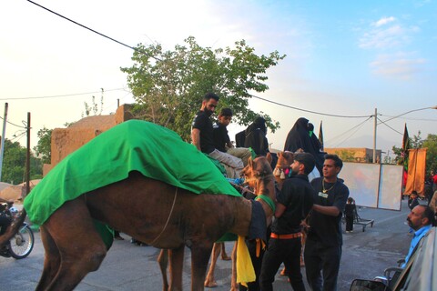 تصاویر/ آیین ورود نمادین کاروان امام حسین(ع) در شهر جوپار