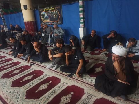 تصاویر/ سرکشی امام جمعه برازجان به مراسمات عزاداری محرم