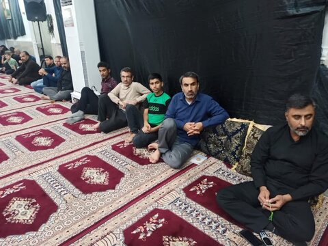 تصاویر/ سرکشی امام جمعه برازجان به مراسمات عزاداری محرم