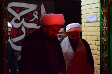 تصاویر/ بازدید رئیس سازمان هیأت و تشکل‌های دینی کشور از هیأت‌های مذهبی، مساجد و موکب‌های شاهرود