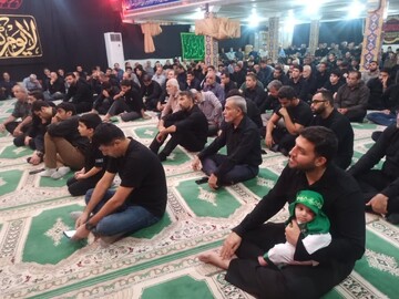 تصاویر/ محرم در برازجان