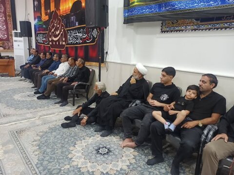 تصاویر/ محرم در برازجان