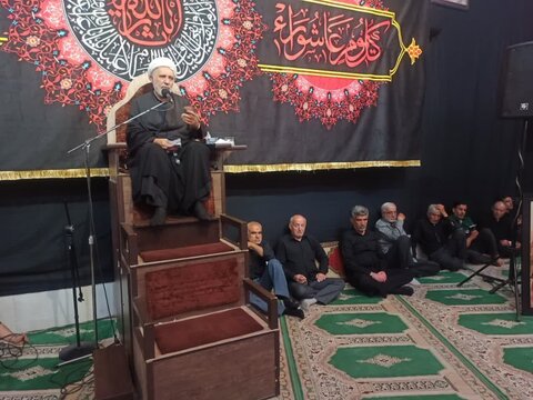 تصاویر/ محرم در برازجان