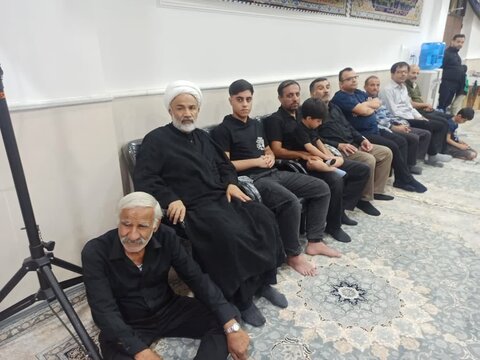 تصاویر/ محرم در برازجان