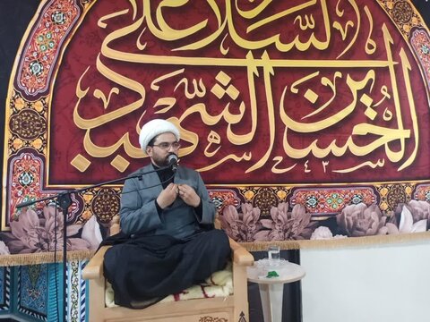 تصاویر/ محرم در برازجان