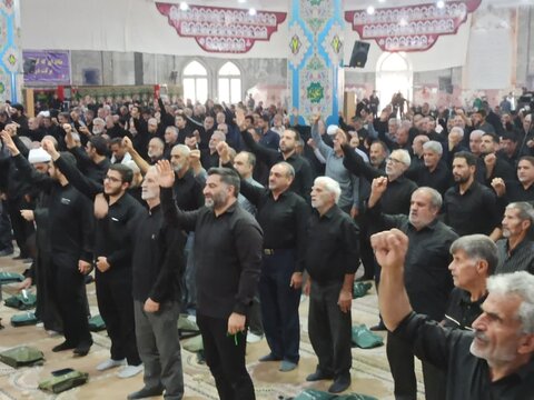 تصاویر/ نماز عبادی سیاسی جمعه کاشان