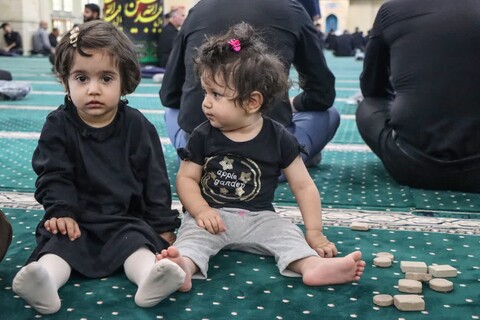 تصاویر/ اقامه نماز جمعه زنجان