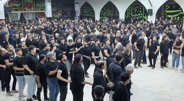 فیلم| نوای یا ابوفاضل عزاداران بوشهری در شب تاسوعا