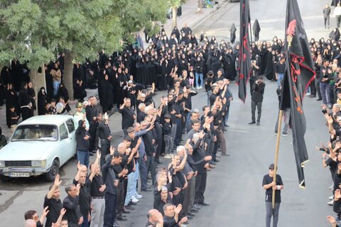 تصاویر/ اجتماع بزرگ مردمی یوم العباس در تکاب