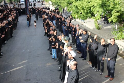 تصاویر/ اجتماع بزرگ مردمی یوم العباس در تکاب