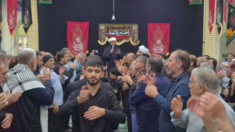 تصاویر/حضور پرشور مردم شهرستان دهلران در آیین تاسوعای حسینی