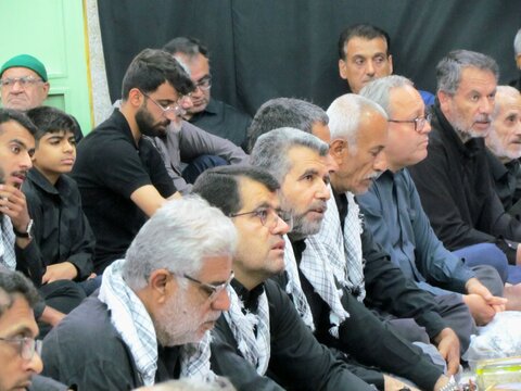 تصاویر/ تاسوعا در بندر دیر