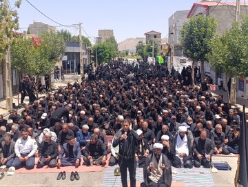 تصاویر/ اقامه نماز ظهر عاشورا در دندی