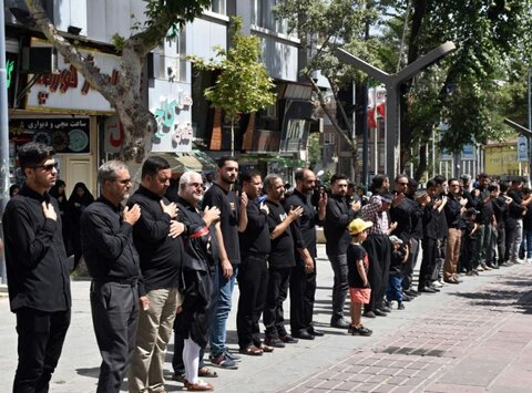 تصاویر/ مراسم عاشورای حسینی در استان کردستان