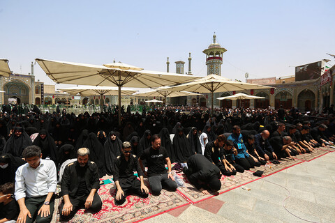 تصاویر/ اقامه نماز ظهر عاشورا در حرم حضرت فاطمه معصومه (س)