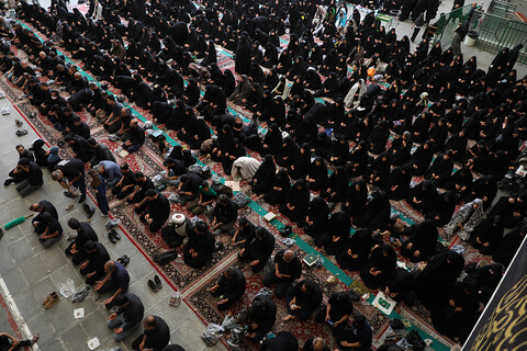 تصاویر/ اقامه نماز ظهر عاشورا در حرم حضرت فاطمه معصومه (س)