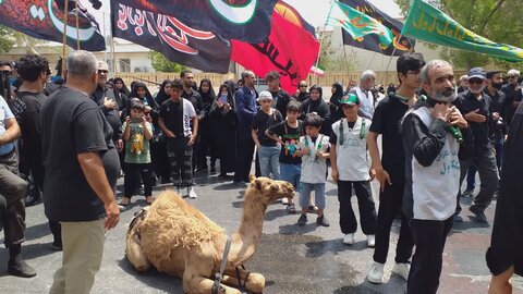 تصاویر/ اقامه عزا سرور و سالار شهیدان و نماز ظهر عاشورا در مصلای جمعه بوشهر