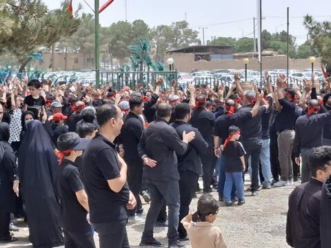 تصاویر/عزاداری عاشورای حسینی درنوش آباد