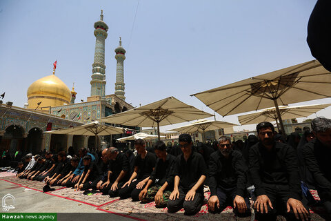 Photos/ Prière de midi d'Achoura au sanctuaire de Hazrat Fatima Masoumeh (PSL)