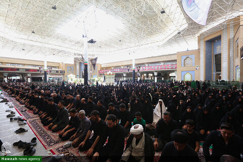 Photos/ Prière de midi d'Achoura au sanctuaire de Hazrat Fatima Masoumeh (PSL)