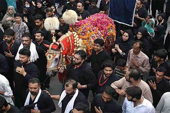 پاکستان بھر میں یوم عاشورا کے جلوس، مجالس و عزاداری / شہداء کربلا کا پرسہ جاری
