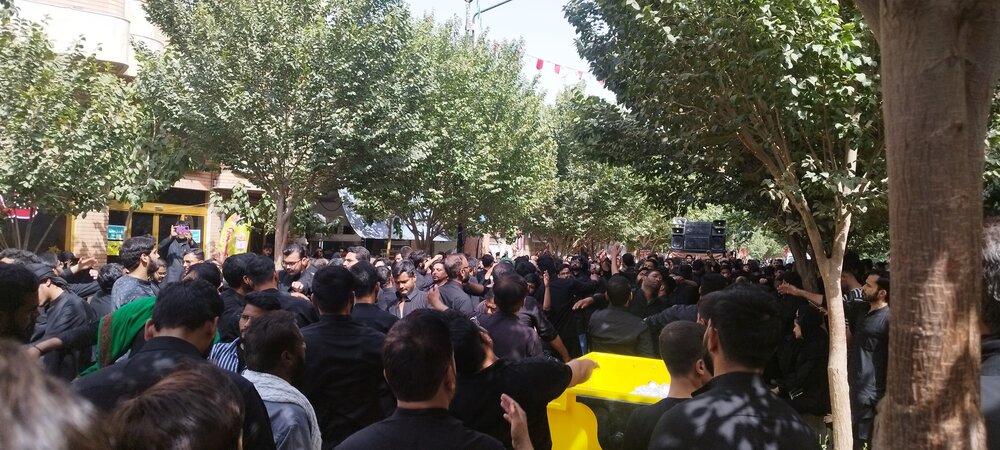 कुम अलमुकद्देस में अशूरा के दिन भारतीय दीनी छात्रों ने जुलूस निकालकर वक्त के इमाम को पूरसा पेश किया