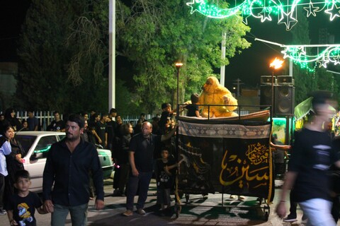 تصاویر/ کاروان نمادین اسرای کربلا