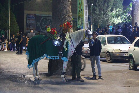 تصاویر/ کاروان نمادین اسرای کربلا