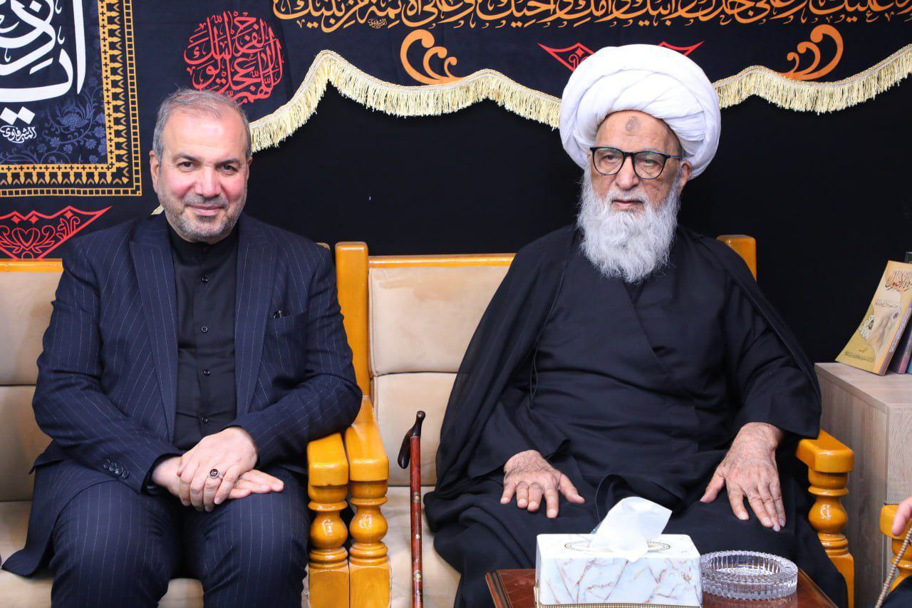 عراق میں ایرانی سفیر کی آیت اللہ العظمیٰ بشیر حسین النجفی سے ملاقات