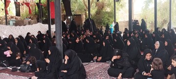 تصاویر/ اجتماع پرشور زینبیون در شهداد