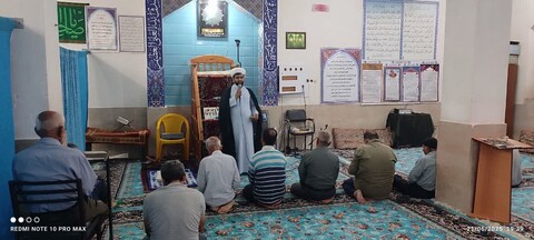 تصاویر/ فعالیت تبلیغی گروه دین گستران در استان بوشهر