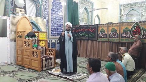 تصاویر/ فعالیت تبلیغی گروه دین گستران در استان بوشهر