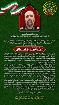 پیام تقدیر خانواده سردار شهید حمیدرضا سلطانی