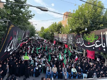 تصاویر/ اجتماع باشکوه زینبیون در سلماس