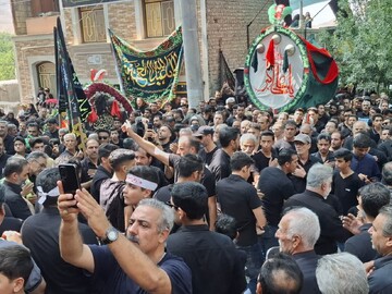 آیین سنتی نخل‌گردانی در روز شش امام حسین(ع) در نیاسر برگزار شد