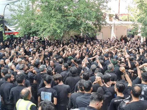 آیین سنتی  مذهبی نخل گردانی در نیاسر