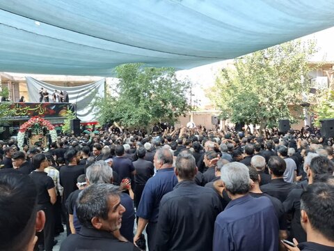 آیین سنتی  مذهبی نخل گردانی در نیاسر