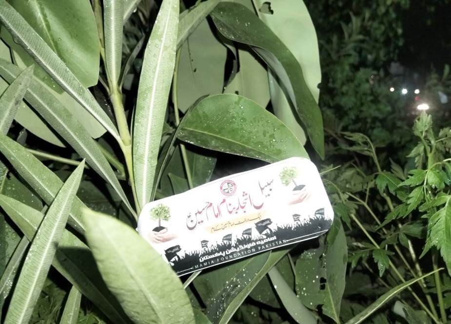 یک سنت زیبا در پاکستان همزمان با ماه محرم