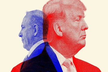 خون‌آشامان بین‌المللی