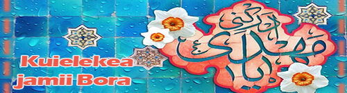 Kuielekea jamii Bora