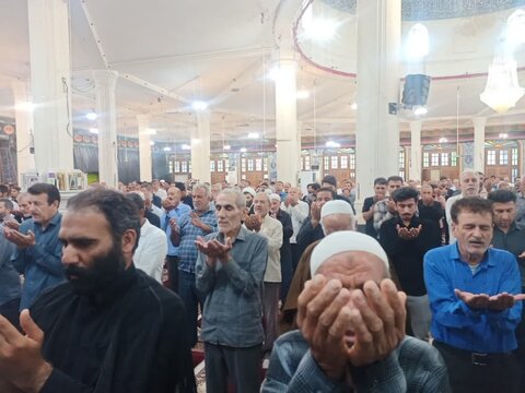 تصاویر/ آیین عبادی سیاسی نمازجمعه مرکز شهرستان دشتستان