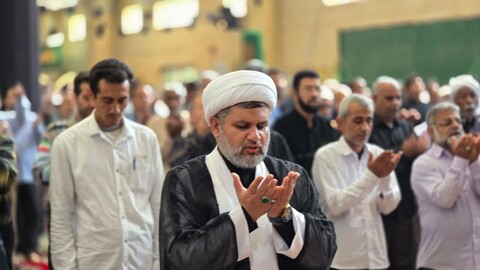 نماز جمعه کنگان به روایت تصویر