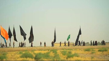فیلم | حرکت کاروان مشایه انصار الحسین (ع) روستای تل اسود