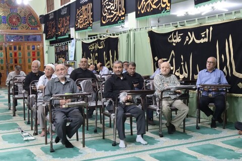 تصاویر/ دهه سوم محرم در بوشهر