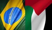 البرازيل تعتزم الانضمام إلى دعوى الإبادة الجماعية التي رفعتها جنوب أفريقيا ضد "إسرائيل"