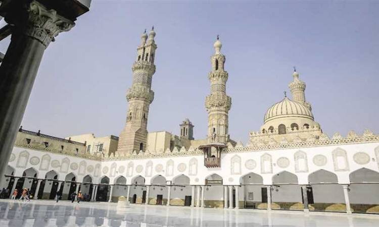 الضمير الإنساني على المحك.. الأزهر يطلق نداء عالميا لإنقاذ غزة من المجاعة