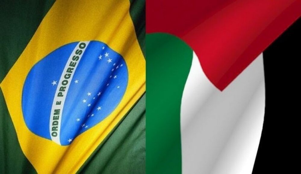 البرازيل تعتزم الانضمام إلى دعوى الإبادة الجماعية التي رفعتها جنوب أفريقيا ضد "إسرائيل"